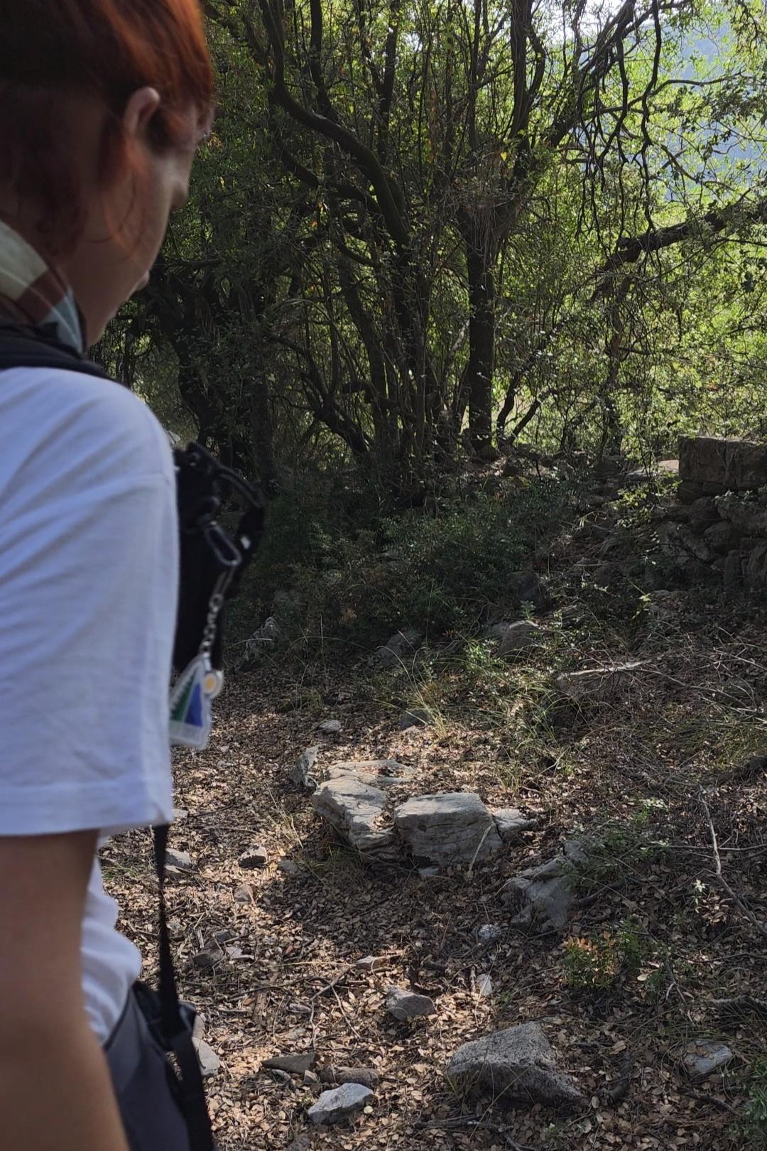 Πεζοπόρος κατεβαίνει πετρώδες μονοπάτι μέσα στο δάσος της Βάστας