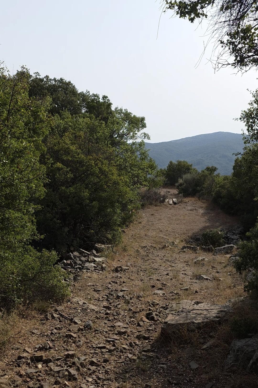 Στενό παλιό μονοπάτι με πυκνή βλάστηση και βραχώδες έδαφος στη Βάστα