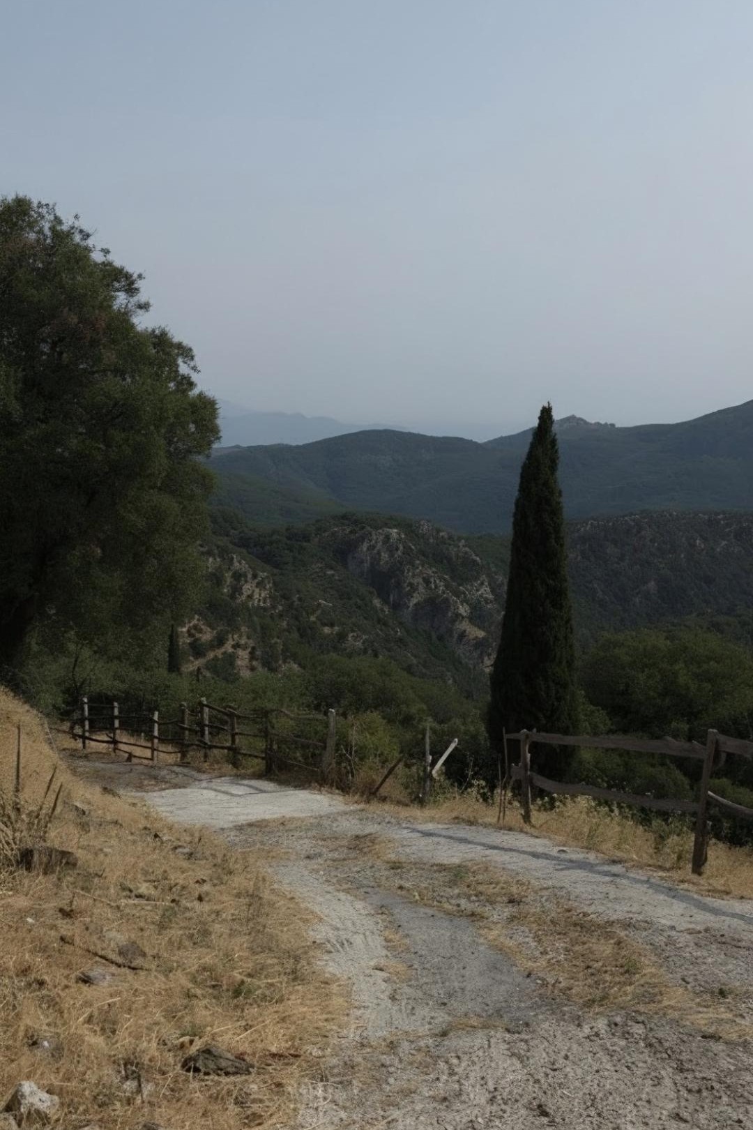 Θέα σε δασωμένες ορεινές πλαγιές της Αρκαδίας από τη διαδρομή