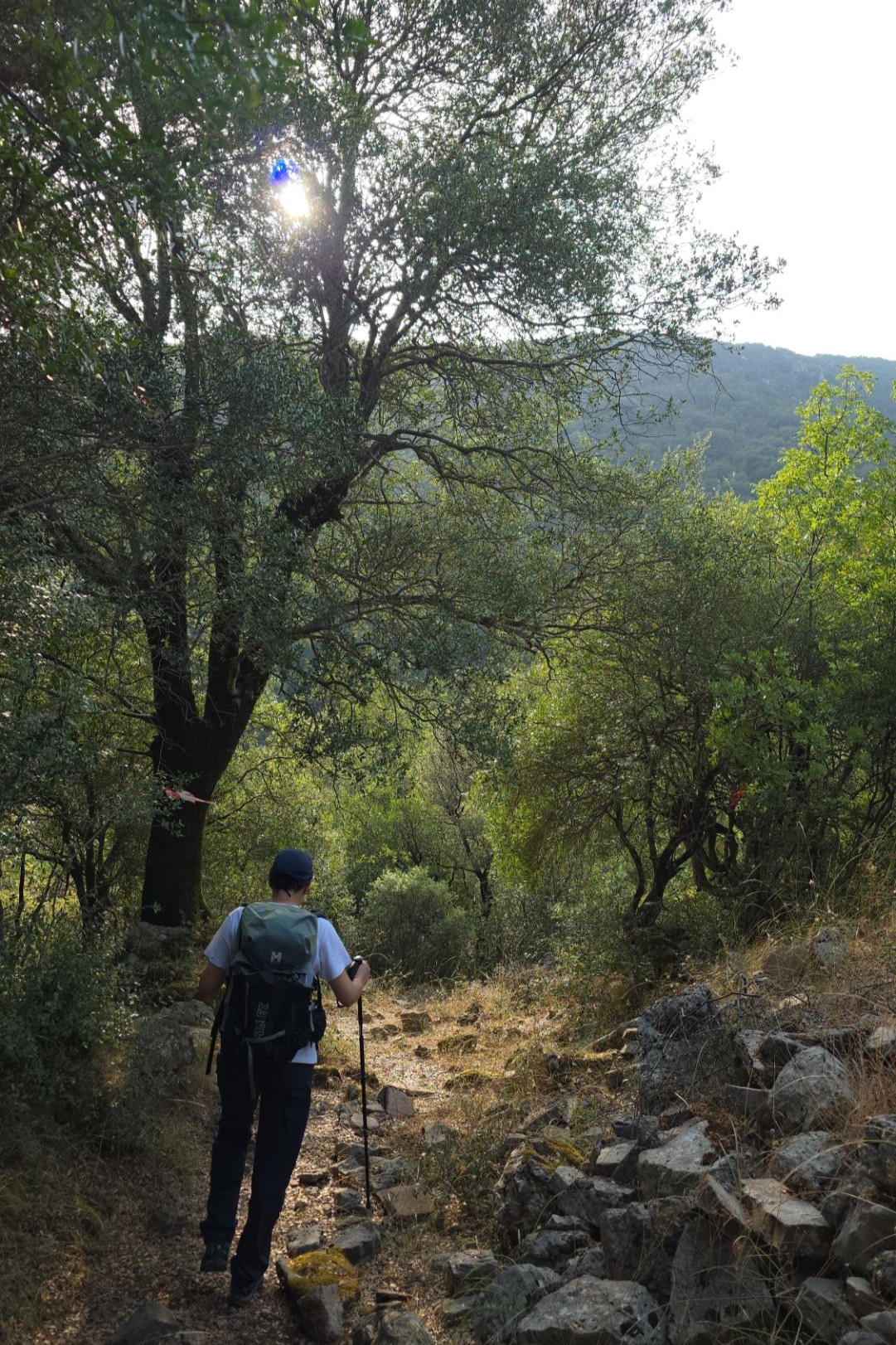Πεζοπόρος σε στενό δασικό μονοπάτι με βραχώδες τερέν στην Αρκαδία