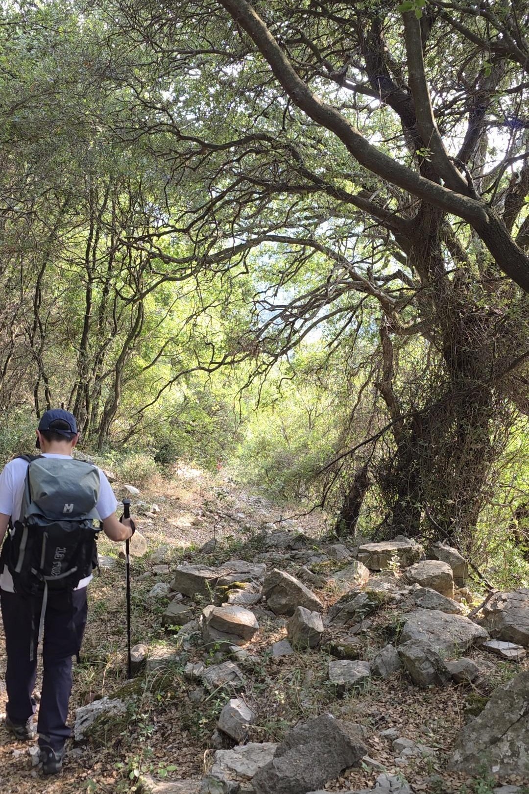 Πεζοπόρος σε πετρώδες μονοπάτι στη Βάστα Αρκαδίας