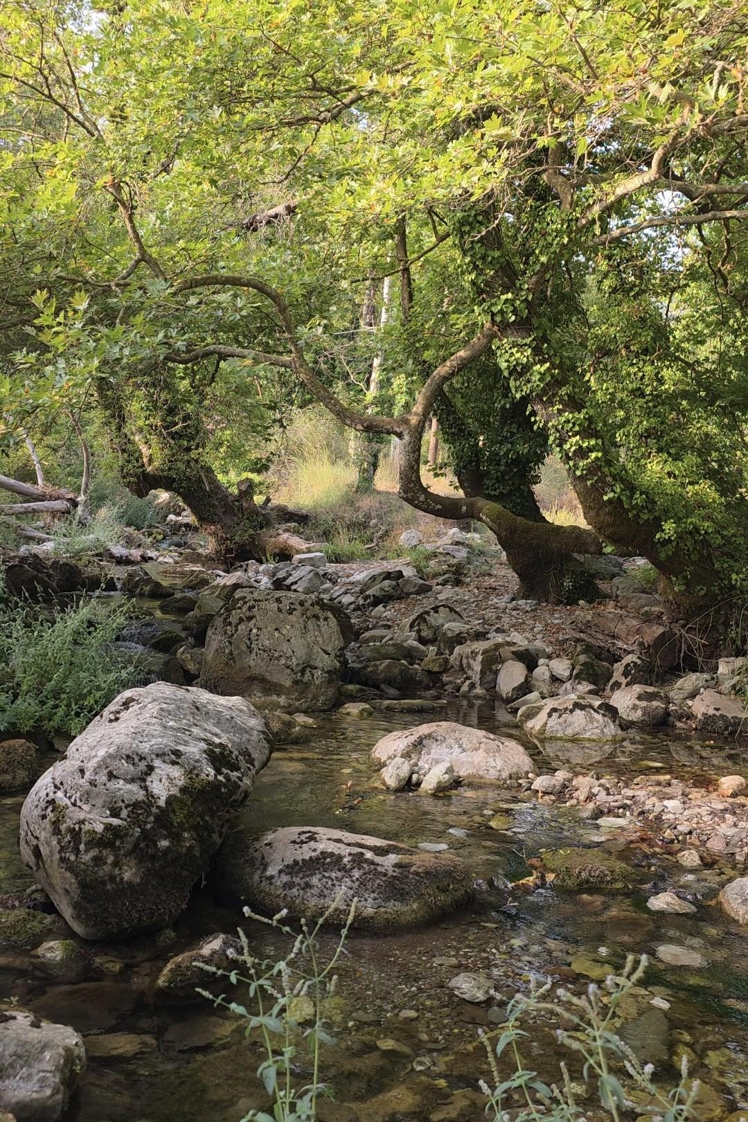 Ρέμα με τρεχούμενο νερό και μεγάλους βράχους κοντά στην Αγία Θεοδώρα Βάστα