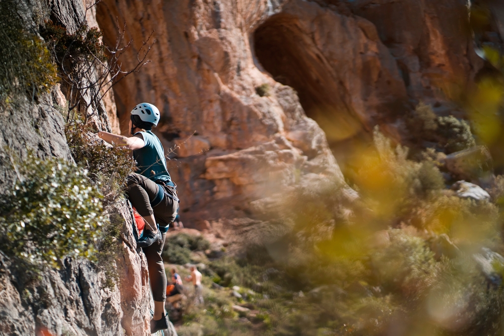 Field Travel