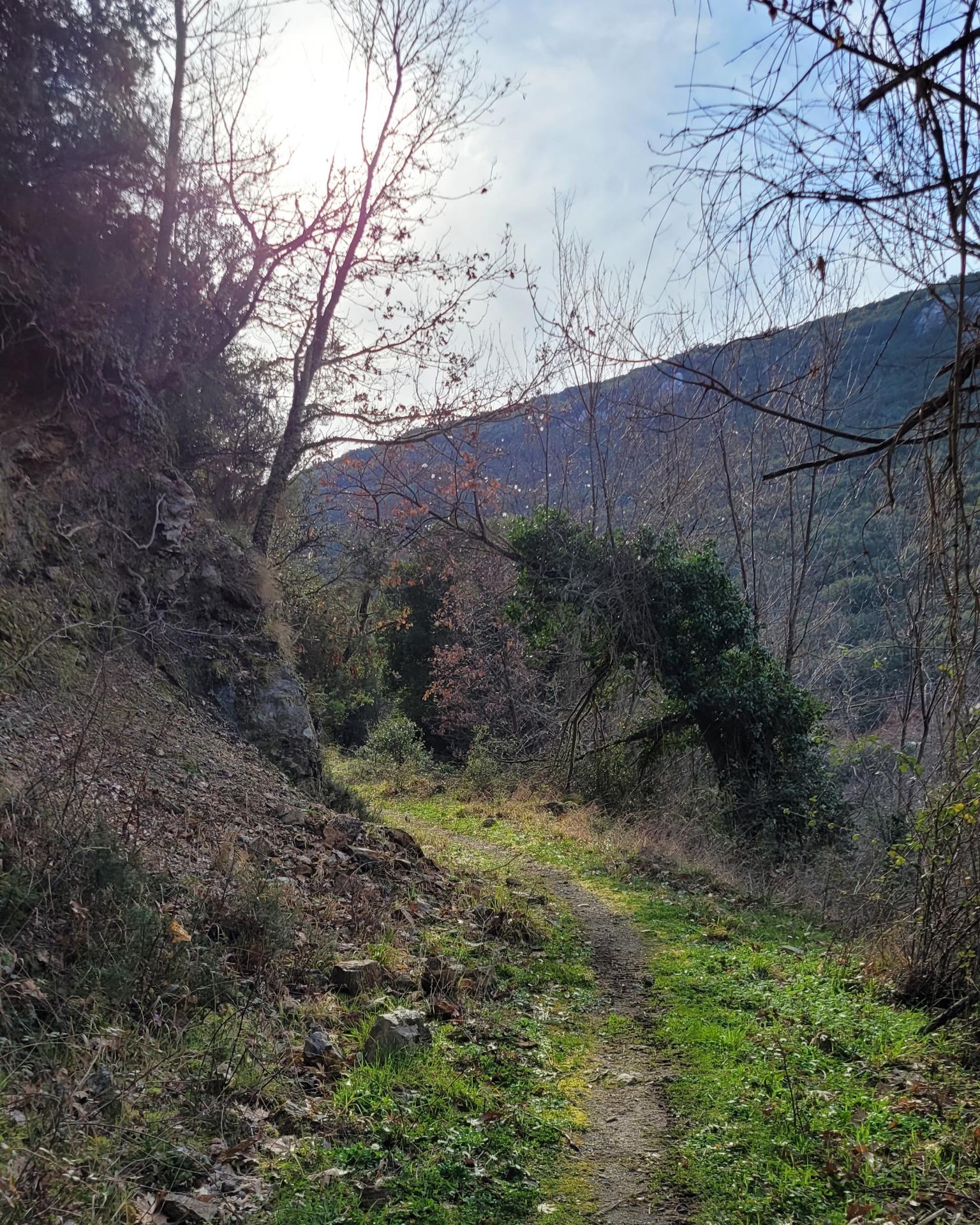 μονοπάτι σε πλαγιά βουνού στο μονοπάτι του νερού αρκαδία