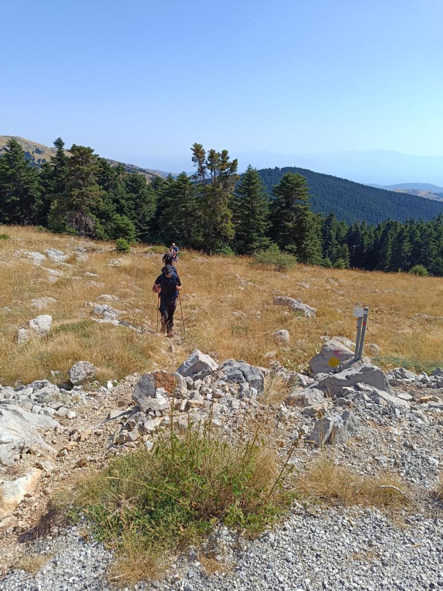 Πεζοπόροι περπατούν σε αλπικό λιβάδι του Παρνασσού