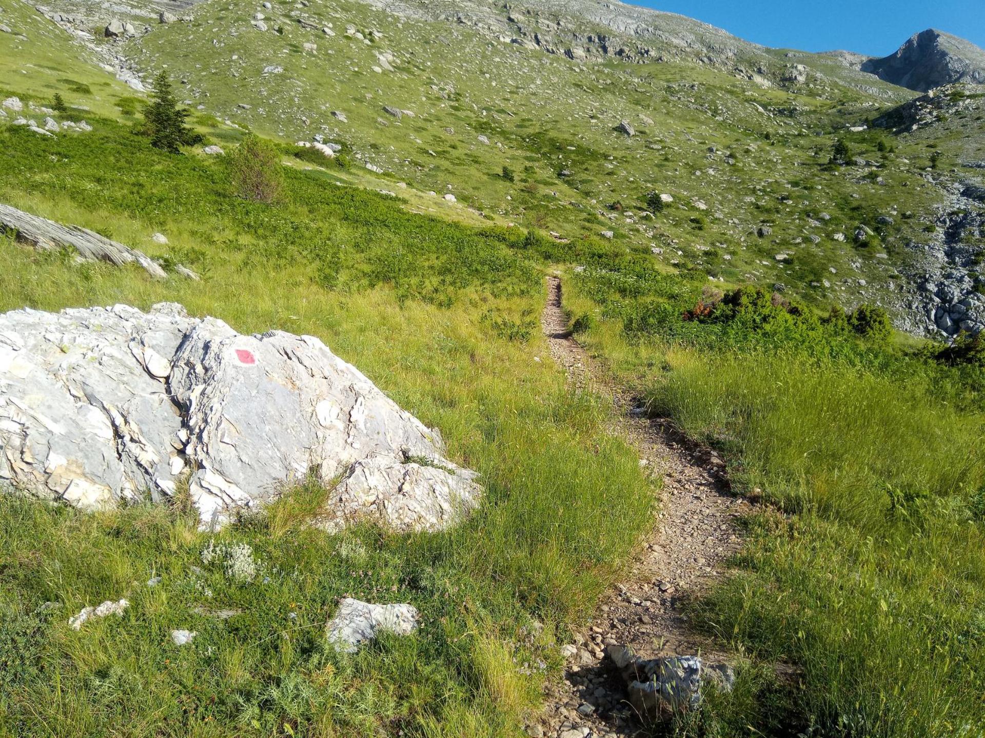 Πεζοπορικό μονοπάτι στον Ταΰγετο μέσα σε αλπικό τοπίο με πράσινες πλαγιές