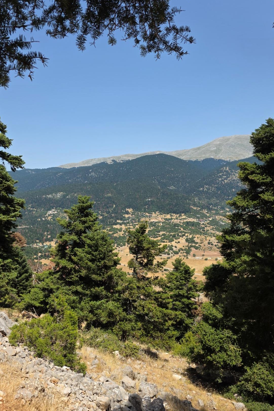 Πανοραμική θέα από την πεζοπορία προς το Κωρύκειο Άντρο στον Παρνασσό.