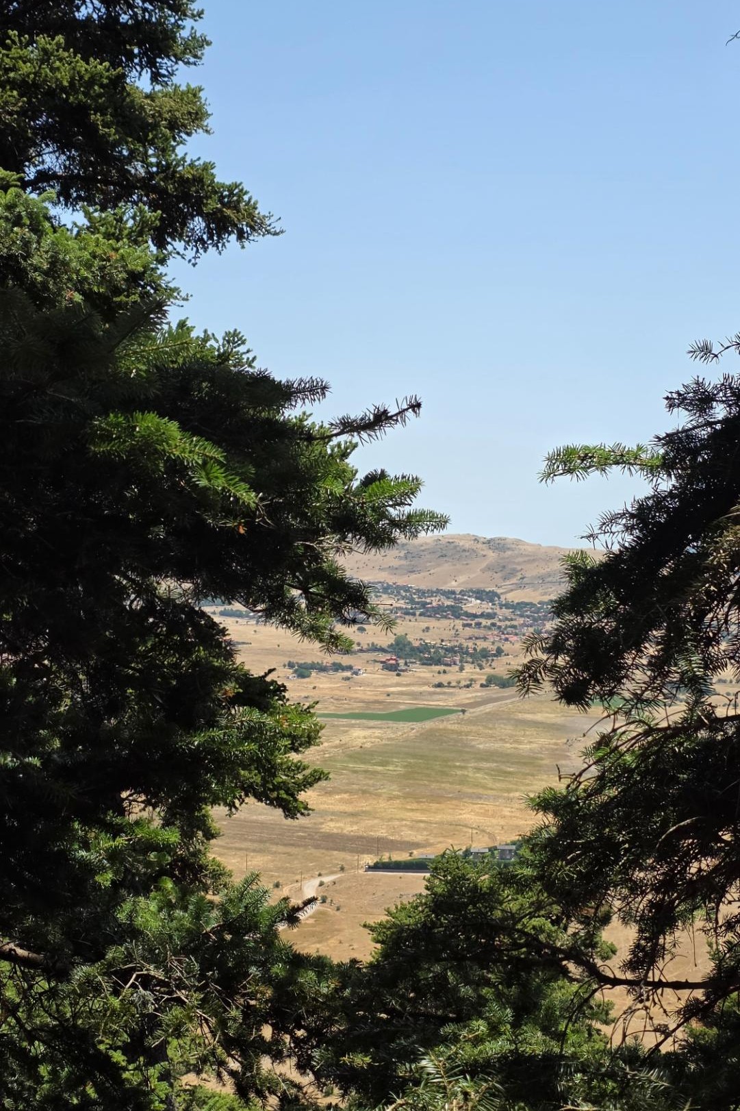 Θέα από τη διαδρομή προς το Κωρύκειο Άντρο στον Παρνασσό.